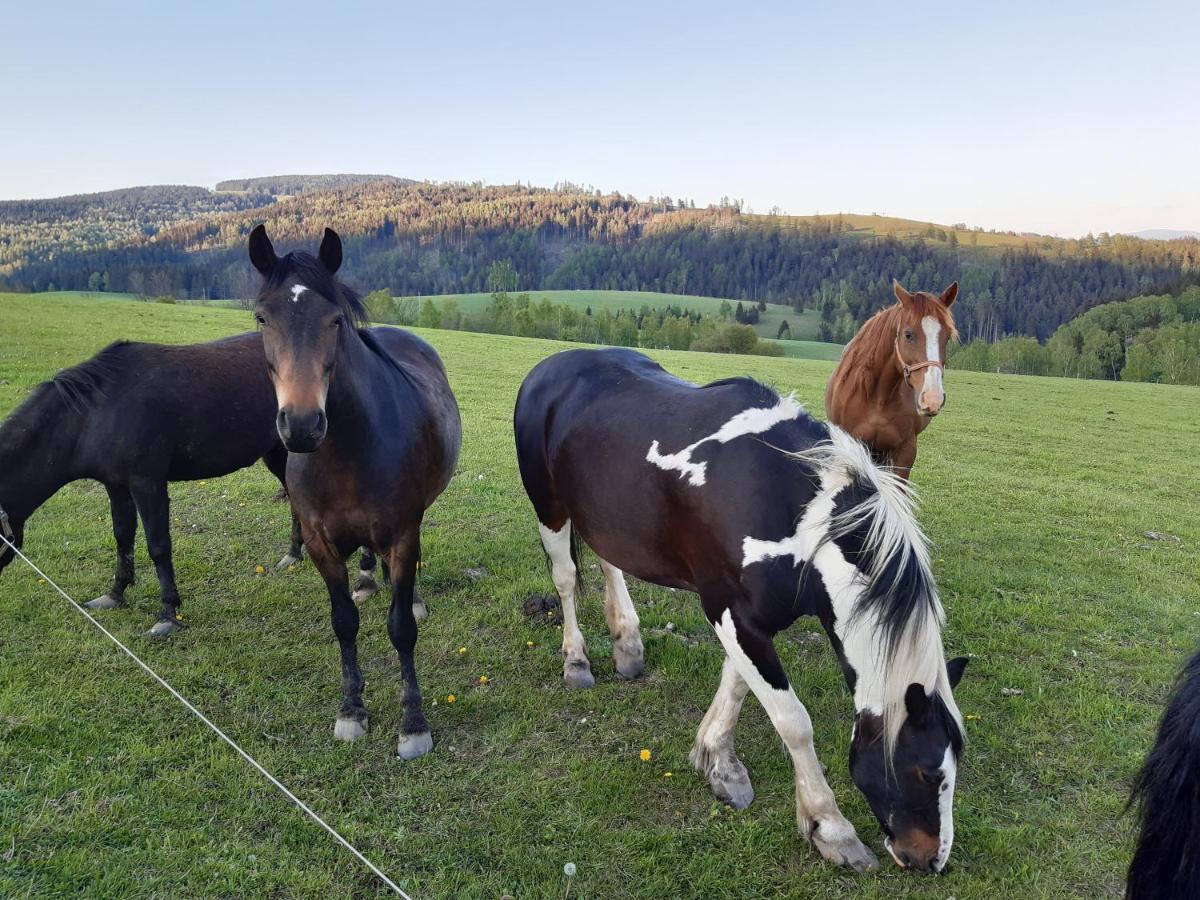Chata Nova Seninka Staré Město Eksteriør bilde
